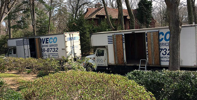 Moveco Moving Services