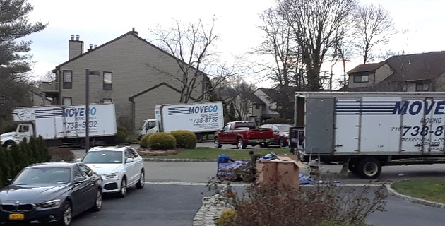 Moveco Moving Services